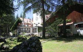 Albergo Paradiso Hotel 3*